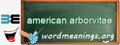 WordMeaning blackboard for american arborvitae